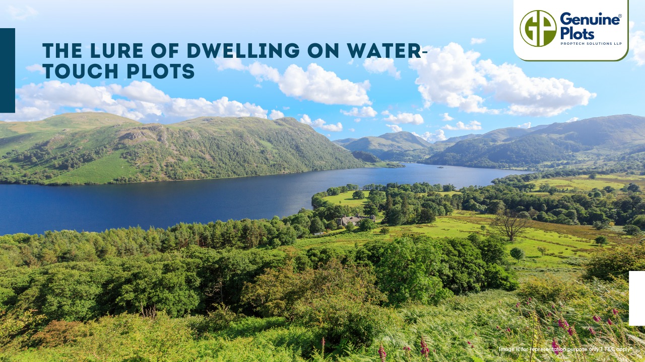 The Lure of Dwelling on Water-Touch Plots